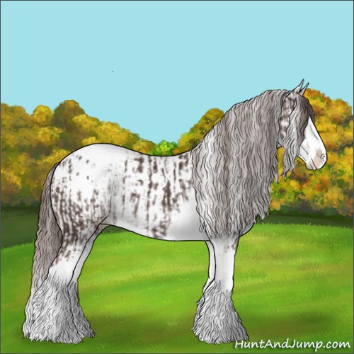Horse Color:Liver Chestnut Sabino Splash Blanket and Liver Chestnut Sabino Splash Blanket
