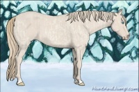 Horse Color:Smoky Creme Roan Dun and Smoky Creme Roan