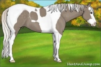 Horse Color:Silver Grullo Splash Tobiano 