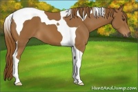 Horse Color:Chestnut Tobiano