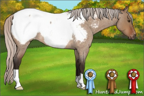Horse Color:Gray Silver Bay Roan Dun Snowcap