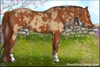 Horse Color:Palomino and Chestnut