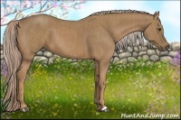 Horse Color:Palomino  and Palomino 