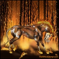 Horse Color:White Spotted Silver Bay