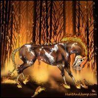 Horse Color:White Spotted Silver Bay