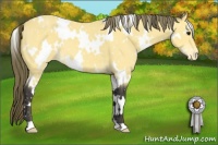 Horse Color:White Spotted Buckskin Snowflake Varnish