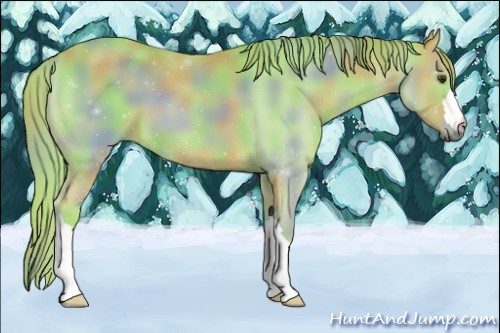 Horse Color:Nacre Watercolor Chestnut 