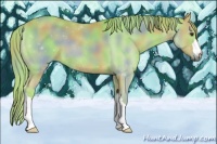 Horse Color:Nacre Watercolor Chestnut 