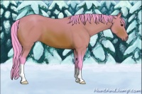 Horse Color:Watercolor Bay 