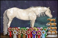 Horse Color:White Spotted Chocolate Palomino Pearl Dun