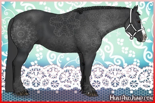 Horse Color:Black Splash