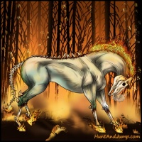 Horse Color:Buckskin Dun