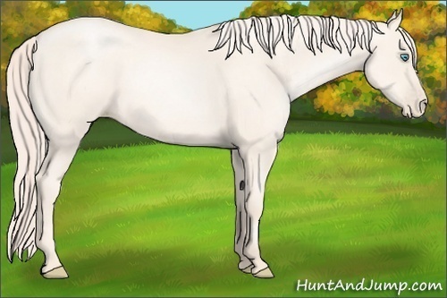Horse Color:Gold Cream Champagne Pearl 