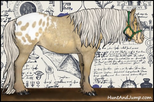 Horse Color:Silver Classic Cream Champagne Roan Appaloosa 