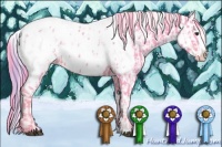 Horse Color:Watercolor Liver Chestnut Sabino Splash Appaloosa  and Watercolor Chocolate Palomino Sabino Splash Appaloosa 