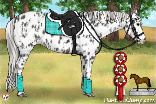 Horse Color:Black Sabino Splash Appaloosa  and Silver Black Sabino Splash Appaloosa 