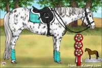 Horse Color:Black Sabino Splash Leopard  and Silver Black Sabino Splash Leopard 
