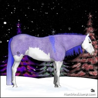 Horse Color:Watercolor Grullo Roan Splash 