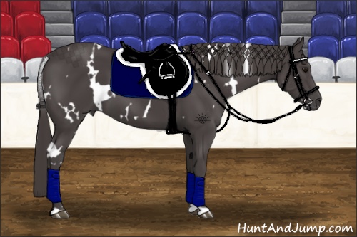 Horse Color:White Spotted Smoky Black 