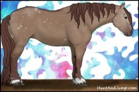 Horse Color:Chocolate Smoky Grullo 