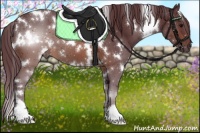Horse Color:White Spotted Chocolate Brown 