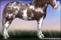 Horse Color:White Spotted Chocolate Smoky Black Splash 