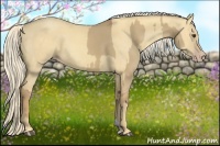 Horse Color:Palomino Dun  and Gold Cream Champagne Dun 