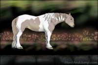 Horse Color:Watercolor Chestnut Tobiano 