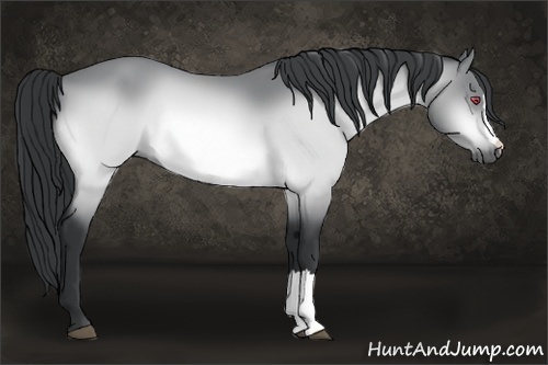 Horse Color:Bay Chinchilla 