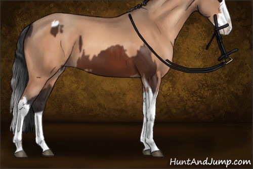 Horse Color:Brown Sabino Splash Tobiano  and Sable Champagne Sabino Splash 