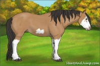 Horse Color:Bay Roan Splash Frame