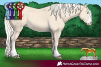 Horse Color:Cremello 