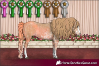 Horse Color:Watercolor White Spotted Red Dun Splash  and Watercolor White Spotted Chestnut Splash 