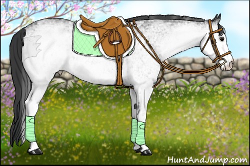 Horse Color:White Spotted Black 