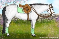 Horse Color:White Spotted Black