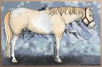 Horse Color:Buckskin Pearl Splash Tobiano 
