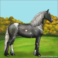 Horse Color:White Spotted Liver Chestnut Mushroom