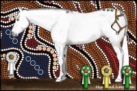 Horse Color:Gray Gold Champagne Dun