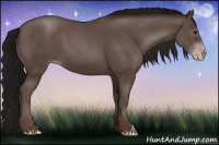Horse Color:Gray Classic Champagne 