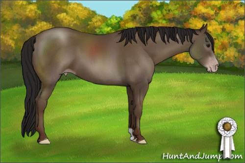 Horse Color:Gray Classic Champagne 