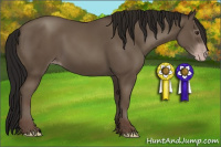 Horse Color:Gray Classic Champagne 