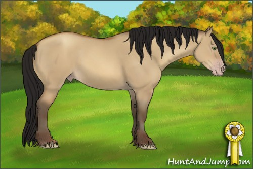 Horse Color:Gray Amber Champagne Dun