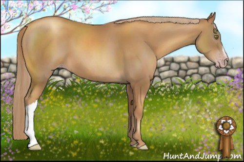 Horse Color:Gray Gold Champagne 