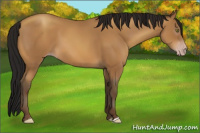Horse Color:Gray Amber Champagne