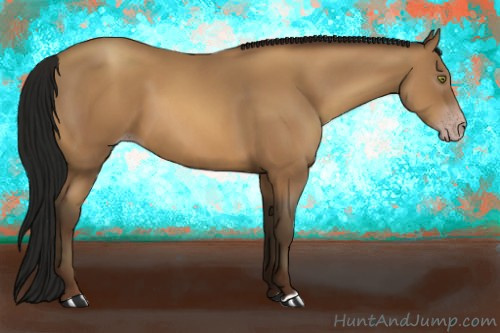 Horse Color:Gray Amber Champagne