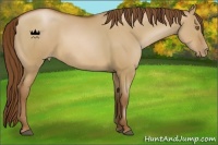 Horse Color:Brown Pearl Dun