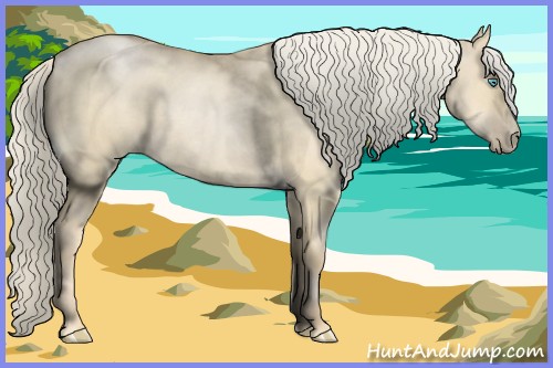 Horse Color:Palomino Pearl Dun 