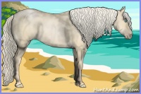 Horse Color:Palomino Pearl Dun 