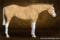 Horse Color:Silver Bay Dun Splash