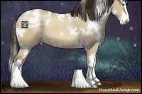 Horse Color:White Spotted Sable Cream Champagne Dun Splash 